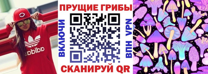 Псилоцибиновые грибы прущие грибы Певек